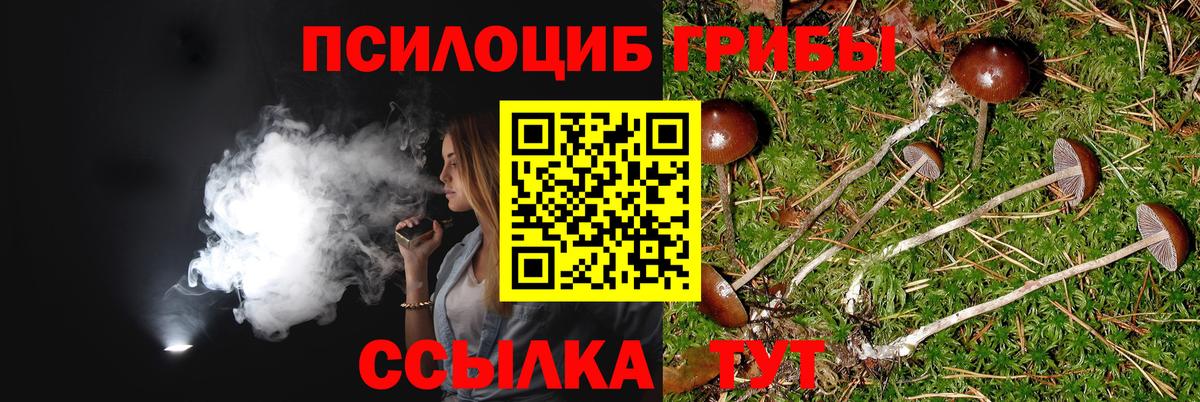 Псилоцибиновые грибы прущие грибы Краснокаменск