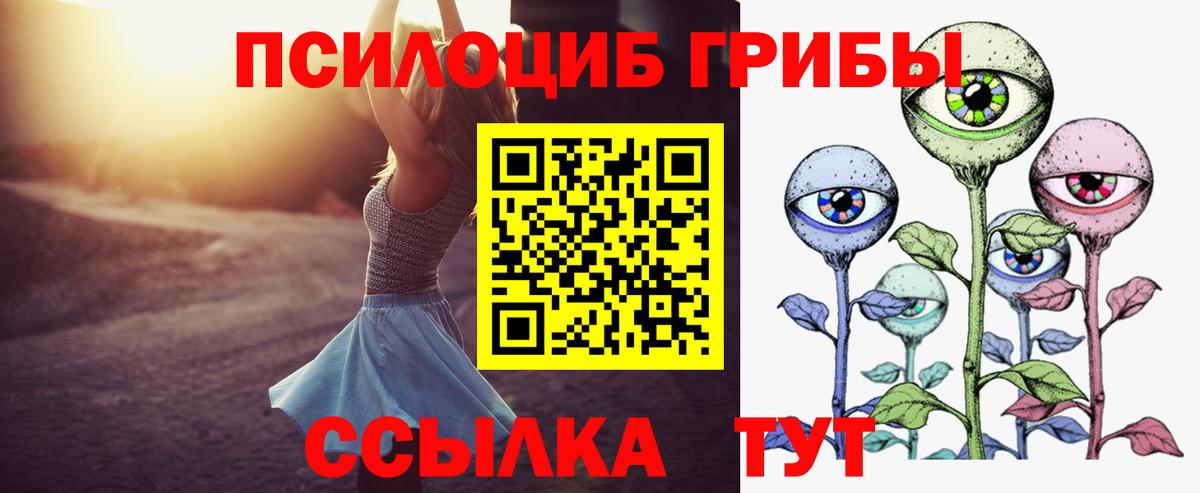 Краснокаменск  Галлюциногенные грибы Cubensis  Вход с VPN 